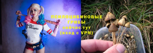 ALPHA PVP Бородино