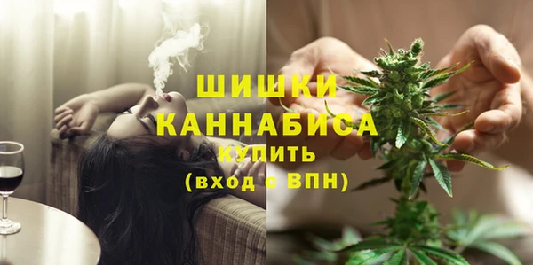 сатива Бугульма