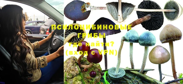 ешки Верея