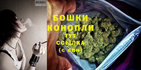 ешки Верея