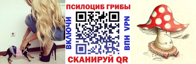 darknet телеграм  Сосногорск  Галлюциногенные грибы прущие грибы 
